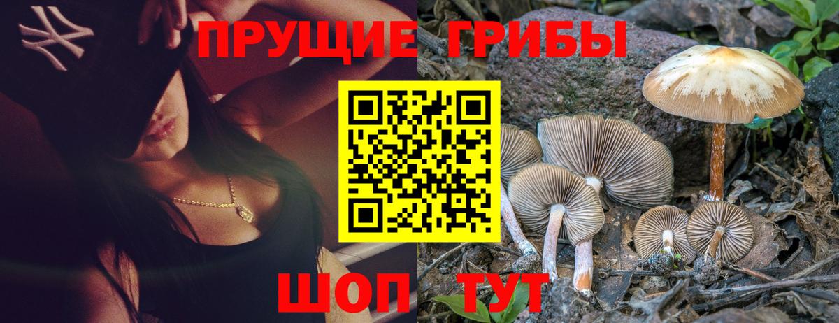 Галлюциногенные грибы прущие грибы  цена наркотик  Дагестанские Огни  Вход с VPN 